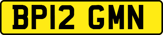 BP12GMN