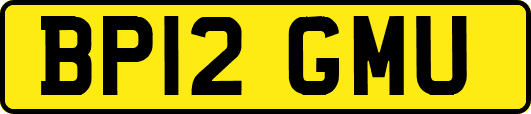 BP12GMU