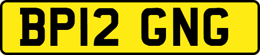 BP12GNG