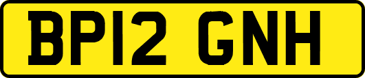 BP12GNH