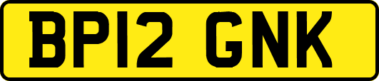 BP12GNK