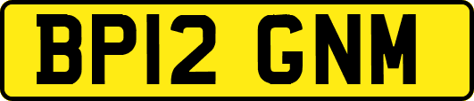 BP12GNM