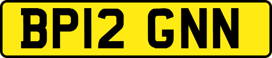 BP12GNN