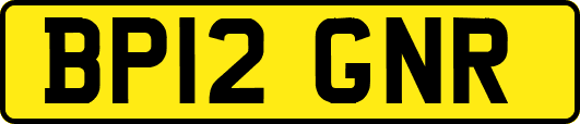 BP12GNR