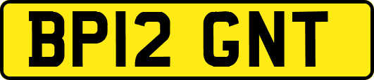 BP12GNT