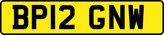 BP12GNW