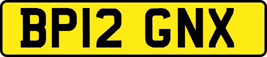 BP12GNX