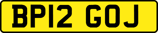 BP12GOJ