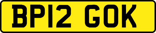 BP12GOK