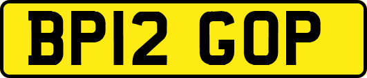 BP12GOP