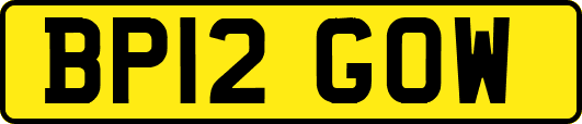 BP12GOW