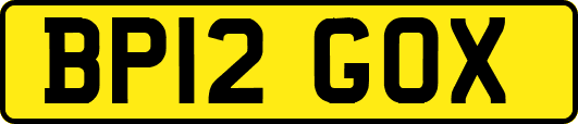 BP12GOX