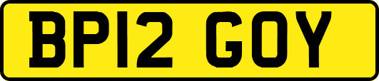 BP12GOY