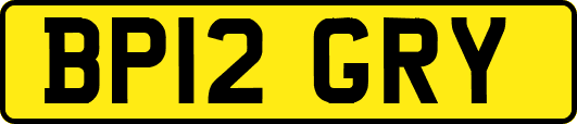 BP12GRY