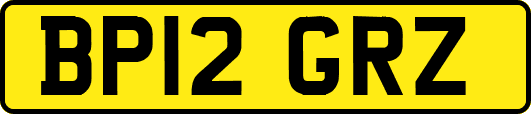 BP12GRZ