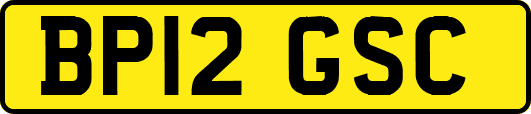 BP12GSC