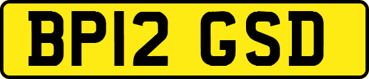 BP12GSD