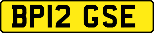 BP12GSE