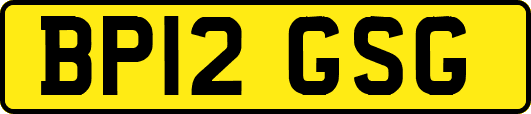 BP12GSG