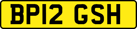 BP12GSH