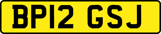 BP12GSJ
