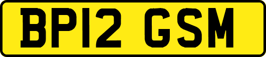 BP12GSM