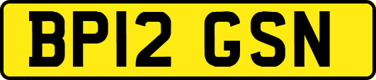 BP12GSN