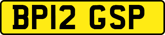 BP12GSP