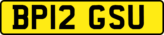 BP12GSU