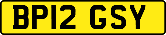 BP12GSY
