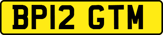 BP12GTM