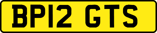 BP12GTS