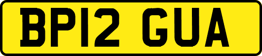 BP12GUA