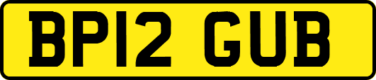 BP12GUB