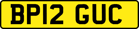 BP12GUC