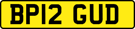BP12GUD