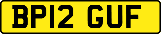 BP12GUF