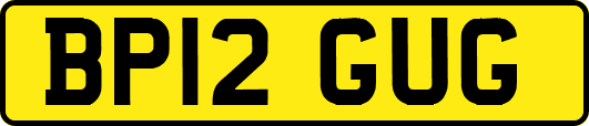 BP12GUG