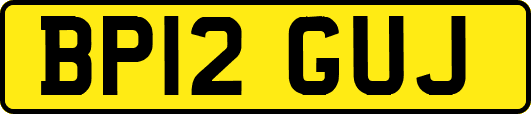 BP12GUJ