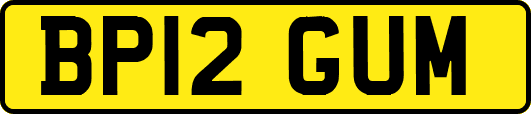 BP12GUM