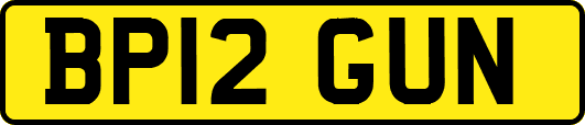 BP12GUN