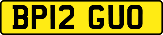 BP12GUO
