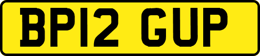 BP12GUP