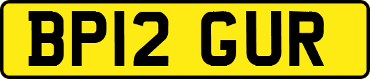 BP12GUR
