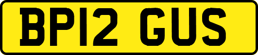 BP12GUS