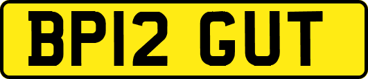 BP12GUT