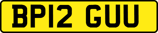 BP12GUU