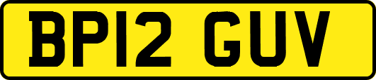 BP12GUV