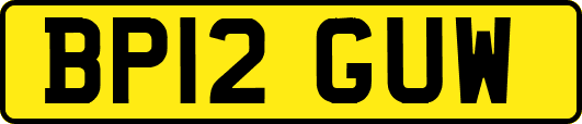 BP12GUW