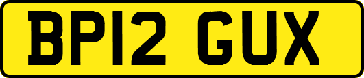 BP12GUX